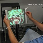 Vertical Cross Section showing tongue and external ear canal